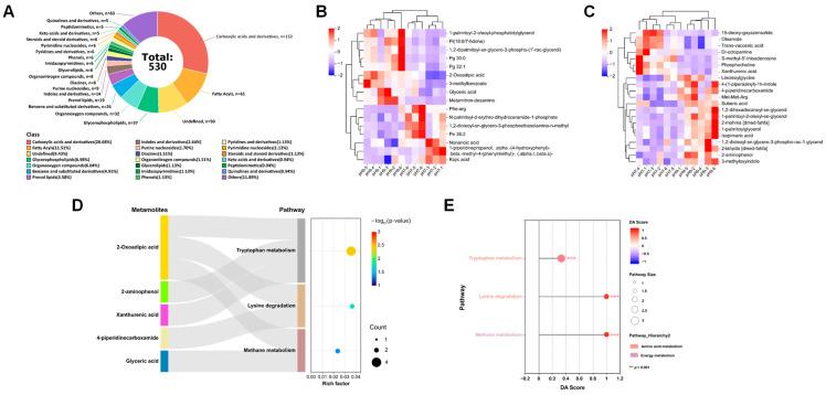 https://cdn.ncbi.nlm.nih.gov/pmc/blobs/6417/12195402/eeed2512e25e/microorganisms-13-01344-g005.jpg