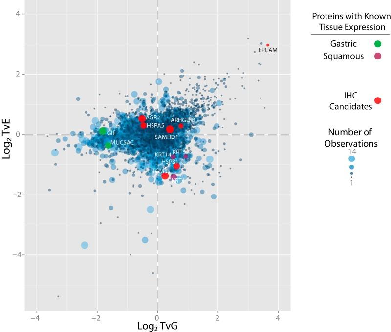 https://cdn.ncbi.nlm.nih.gov/pmc/blobs/6418/5461543/29ea3fcc859e/zjw0051755490003.jpg