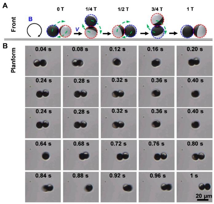 https://cdn.ncbi.nlm.nih.gov/pmc/blobs/641a/6956008/f0db22f475f2/nanomaterials-09-01672-g002.jpg