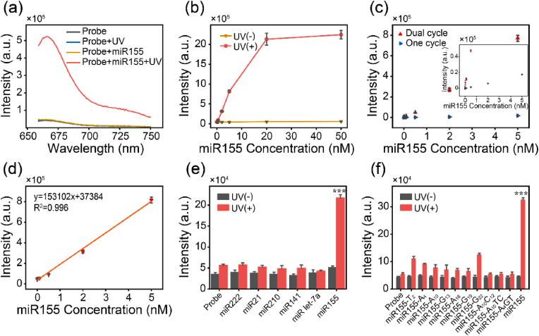 https://cdn.ncbi.nlm.nih.gov/pmc/blobs/641b/12396463/930432d5b34e/gr2.jpg