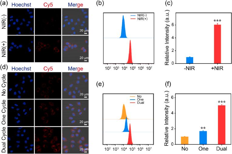 https://cdn.ncbi.nlm.nih.gov/pmc/blobs/641b/12396463/e197e2092356/gr4.jpg