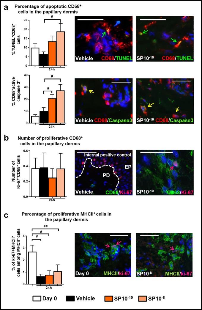 https://cdn.ncbi.nlm.nih.gov/pmc/blobs/641b/6977738/ef00aadc62d9/pone.0227817.g003.jpg