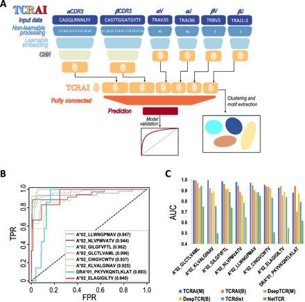 https://cdn.ncbi.nlm.nih.gov/pmc/blobs/641b/8121425/73b405c23278/abf5835-F2.jpg