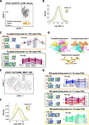 https://cdn.ncbi.nlm.nih.gov/pmc/blobs/641b/8121425/8383237263a0/abf5835-F4.jpg