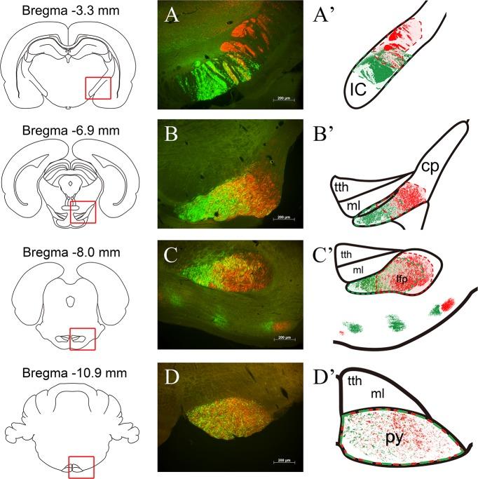 https://cdn.ncbi.nlm.nih.gov/pmc/blobs/641c/6312246/8089af79c515/pone.0204842.g001.jpg