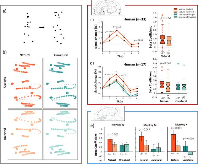 https://cdn.ncbi.nlm.nih.gov/pmc/blobs/641d/11542025/715f38816509/41467_2024_53968_Fig1_HTML.jpg