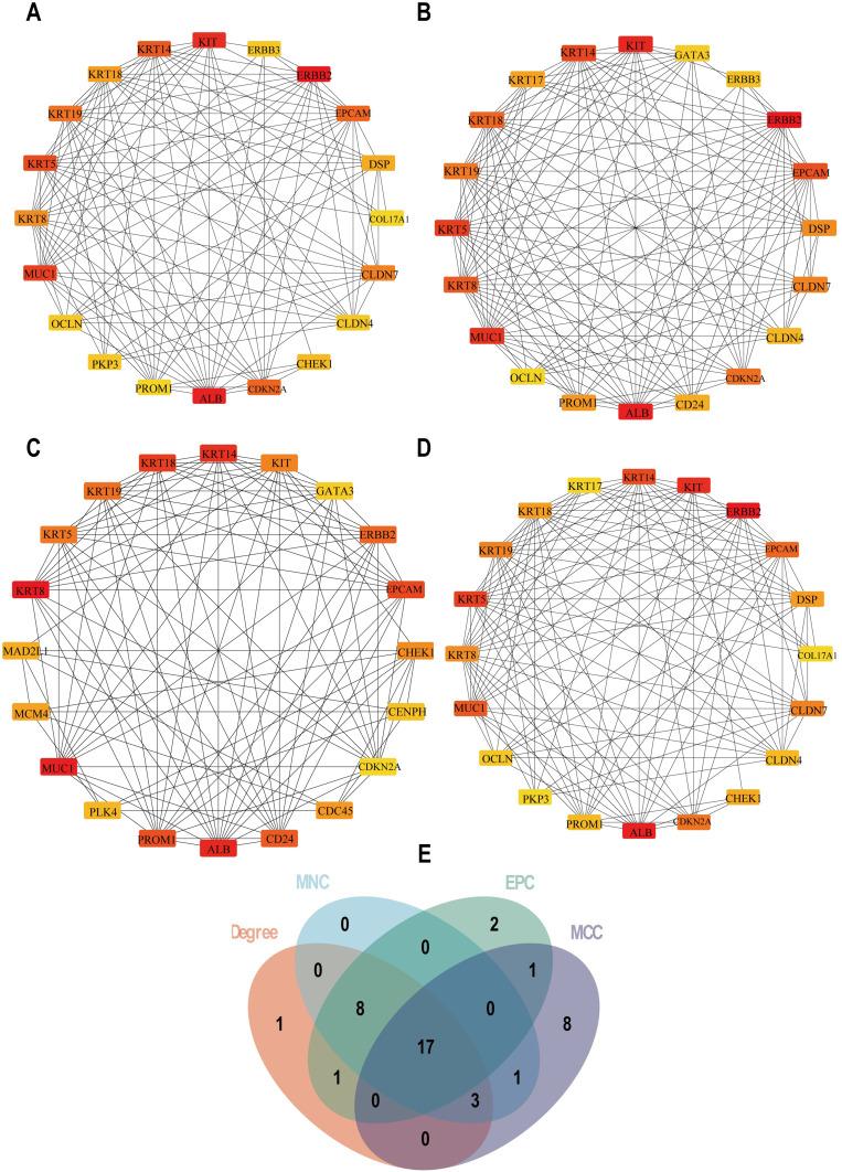 https://cdn.ncbi.nlm.nih.gov/pmc/blobs/641d/11996000/43761e9195d3/BCTT-17-305-g0005.jpg