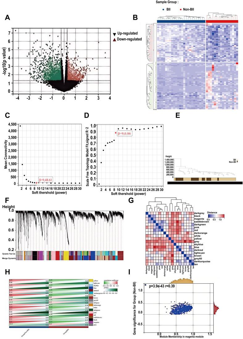 https://cdn.ncbi.nlm.nih.gov/pmc/blobs/641d/11996000/4d7a87019612/BCTT-17-305-g0002.jpg