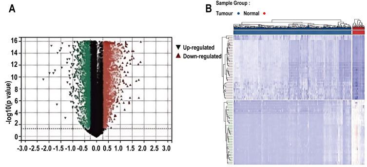 https://cdn.ncbi.nlm.nih.gov/pmc/blobs/641d/11996000/6bc14984b962/BCTT-17-305-g0001.jpg