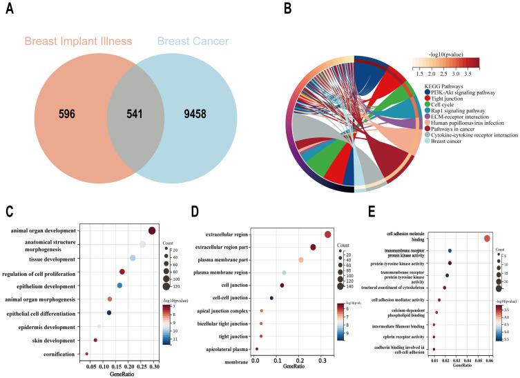 https://cdn.ncbi.nlm.nih.gov/pmc/blobs/641d/11996000/917d1cc8a9f6/BCTT-17-305-g0004.jpg