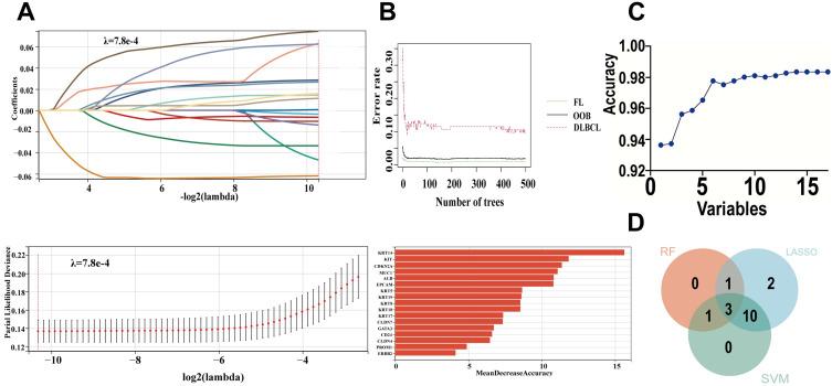 https://cdn.ncbi.nlm.nih.gov/pmc/blobs/641d/11996000/e6264e9e5780/BCTT-17-305-g0006.jpg