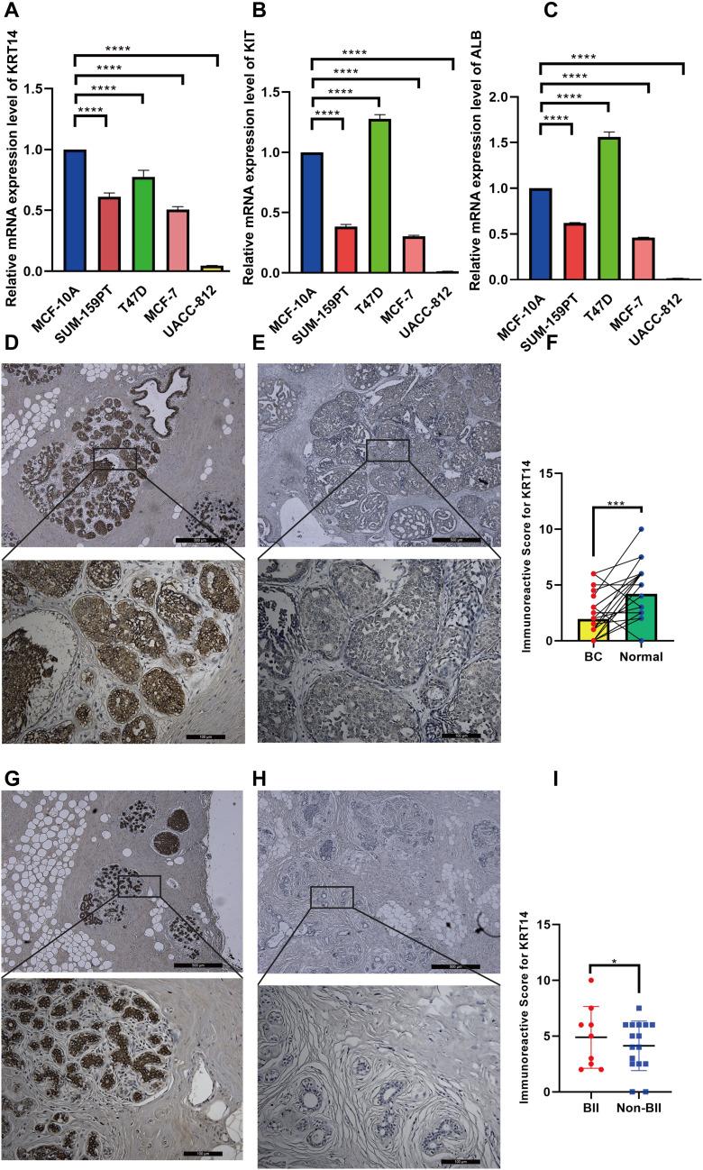 https://cdn.ncbi.nlm.nih.gov/pmc/blobs/641d/11996000/ebda82f28f60/BCTT-17-305-g0009.jpg