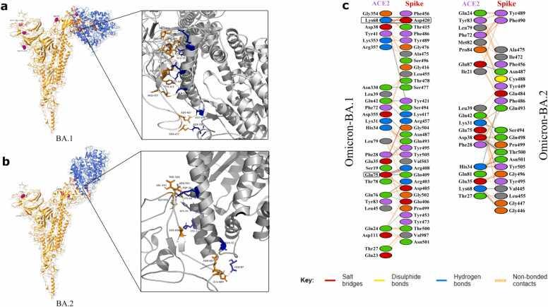 https://cdn.ncbi.nlm.nih.gov/pmc/blobs/641f/9297036/12ff111d9f46/gr5.jpg