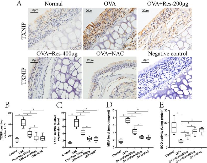 https://cdn.ncbi.nlm.nih.gov/pmc/blobs/6422/7586246/3cbf34ee1a41/gr5.jpg