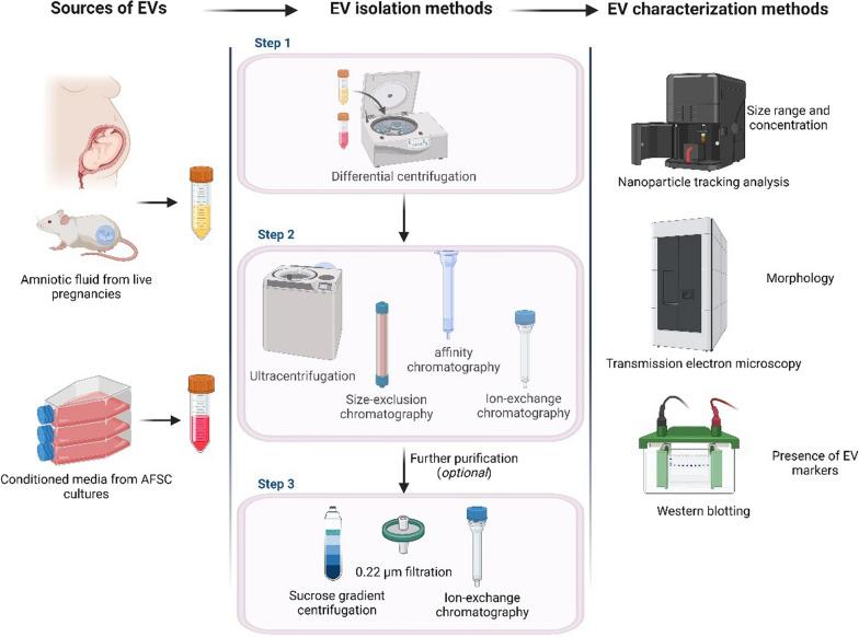 https://cdn.ncbi.nlm.nih.gov/pmc/blobs/6423/11010396/3893c1e87c7d/12967_2024_5154_Fig2_HTML.jpg