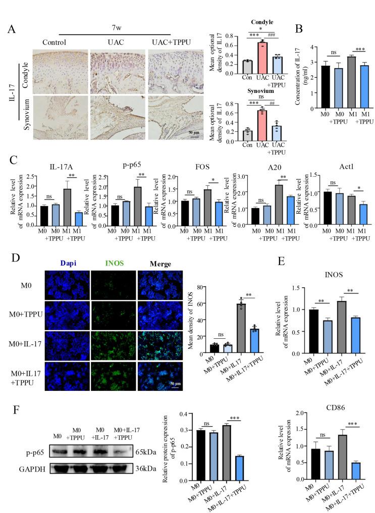 https://cdn.ncbi.nlm.nih.gov/pmc/blobs/6423/12395874/01531d1acdeb/12967_2025_7003_Fig6_HTML.jpg