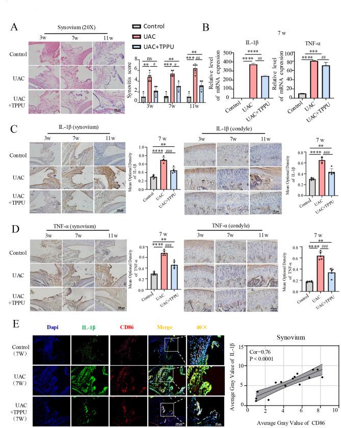 https://cdn.ncbi.nlm.nih.gov/pmc/blobs/6423/12395874/1cf1c758e3e1/12967_2025_7003_Fig3_HTML.jpg