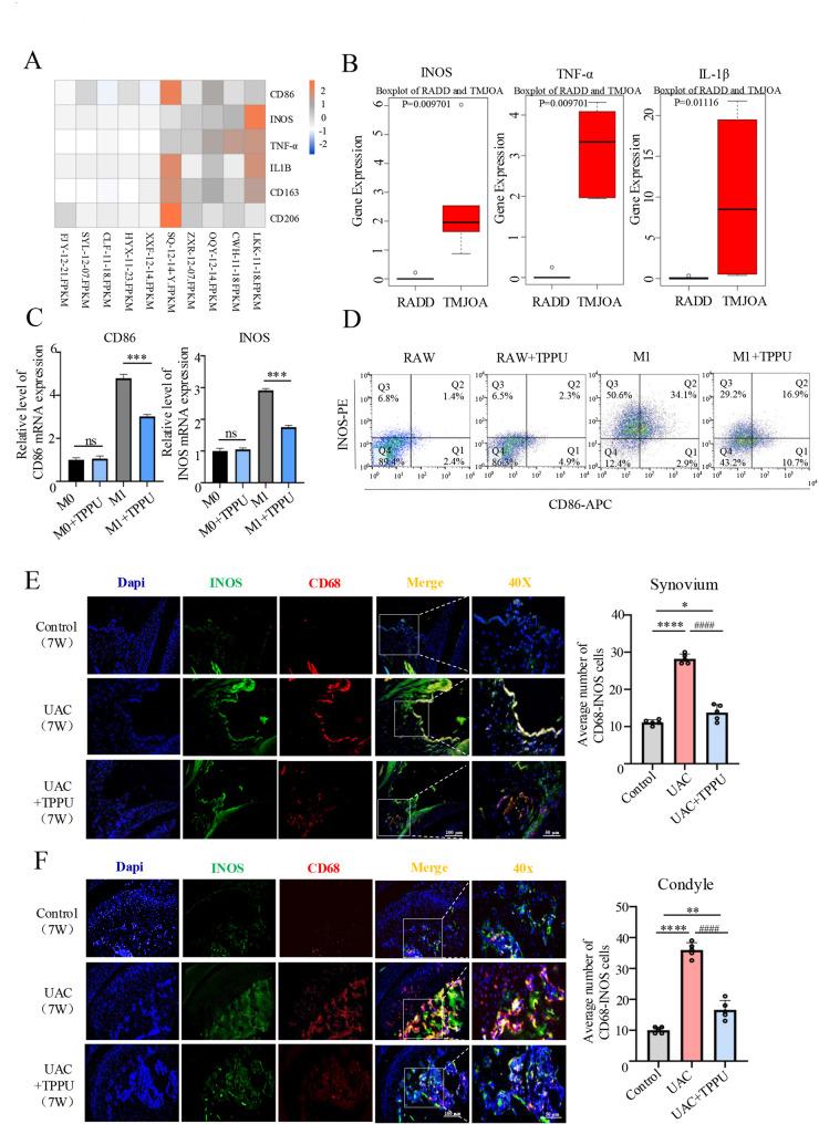 https://cdn.ncbi.nlm.nih.gov/pmc/blobs/6423/12395874/2435cb334090/12967_2025_7003_Fig2_HTML.jpg