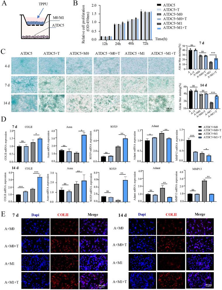 https://cdn.ncbi.nlm.nih.gov/pmc/blobs/6423/12395874/bbe47b9f44f5/12967_2025_7003_Fig4_HTML.jpg