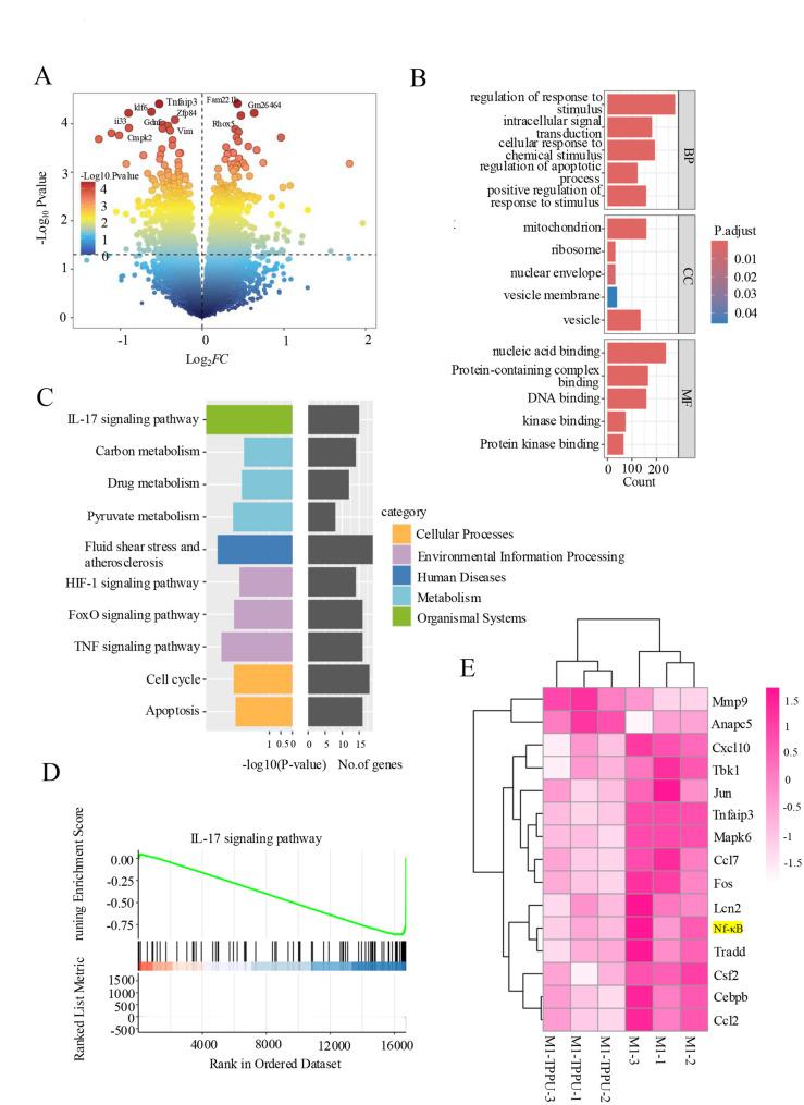 https://cdn.ncbi.nlm.nih.gov/pmc/blobs/6423/12395874/c36af194c9e7/12967_2025_7003_Fig5_HTML.jpg