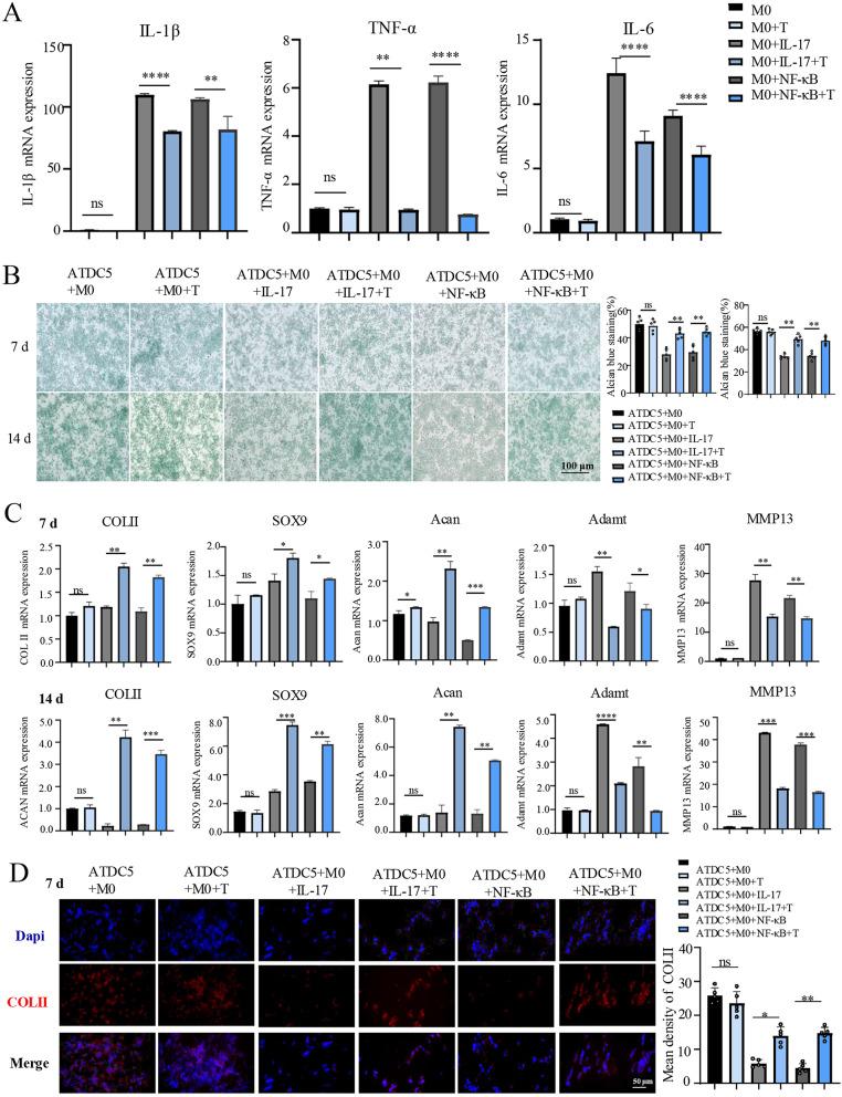 https://cdn.ncbi.nlm.nih.gov/pmc/blobs/6423/12395874/fbf6b1a67824/12967_2025_7003_Fig7_HTML.jpg