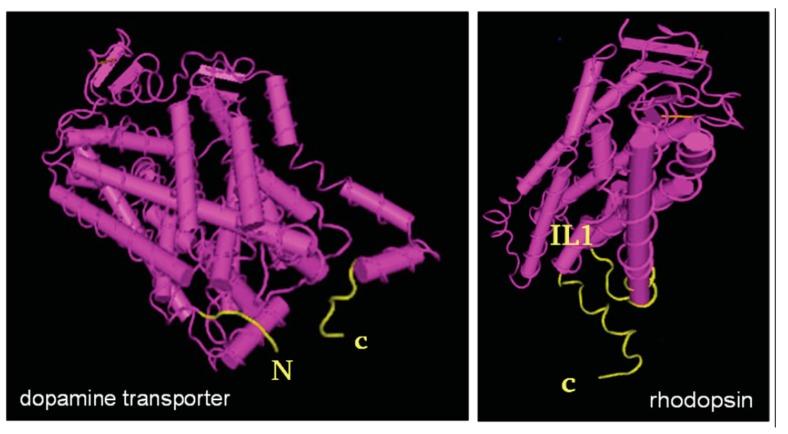 https://cdn.ncbi.nlm.nih.gov/pmc/blobs/6423/5713384/11abf692a005/ijms-18-02416-g002.jpg