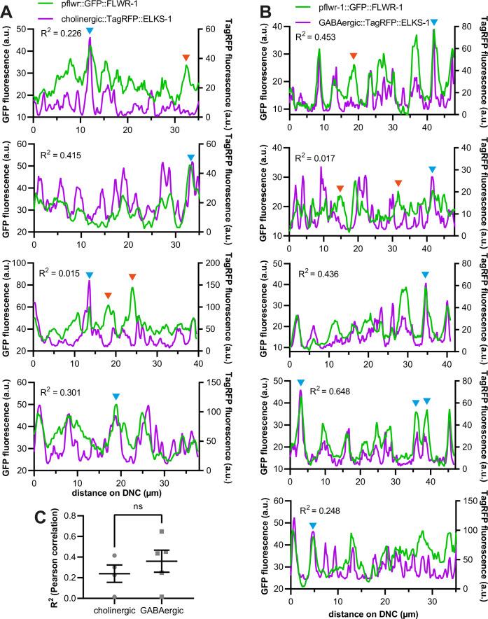 https://cdn.ncbi.nlm.nih.gov/pmc/blobs/6426/12092002/841d5528d224/elife-103870-fig3-figsupp1.jpg
