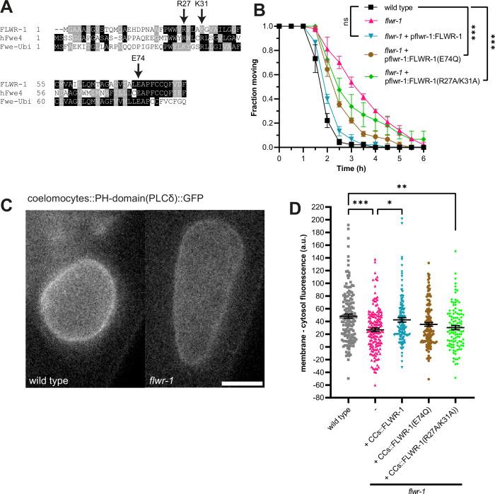 https://cdn.ncbi.nlm.nih.gov/pmc/blobs/6426/12092002/bede1dc4b523/elife-103870-fig8.jpg