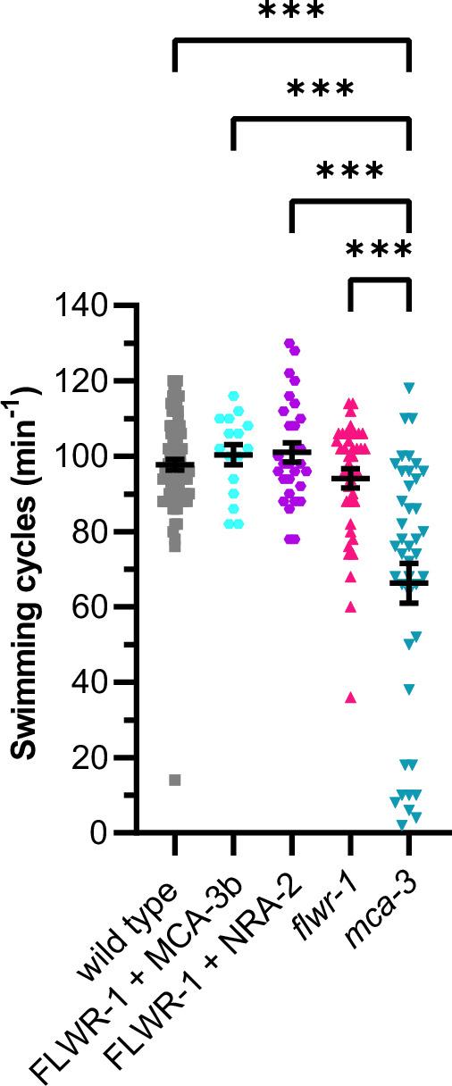 https://cdn.ncbi.nlm.nih.gov/pmc/blobs/6426/12092002/d4088c81acf0/elife-103870-fig9-figsupp1.jpg