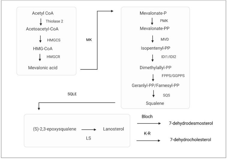 https://cdn.ncbi.nlm.nih.gov/pmc/blobs/6427/10504106/9a8acf2a0534/204_2023_3575_Fig3_HTML.jpg