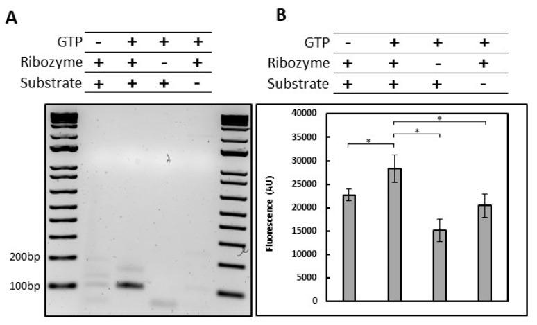https://cdn.ncbi.nlm.nih.gov/pmc/blobs/6428/10254303/535b45dde282/molecules-28-04460-g003.jpg
