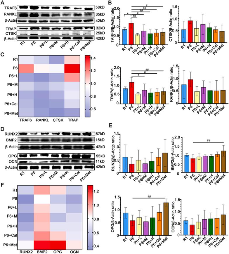 https://cdn.ncbi.nlm.nih.gov/pmc/blobs/6429/11576941/0dbda10b26fb/gr7.jpg