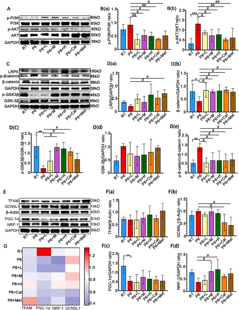 https://cdn.ncbi.nlm.nih.gov/pmc/blobs/6429/11576941/27d76abbe770/gr8.jpg