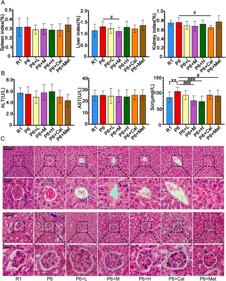 https://cdn.ncbi.nlm.nih.gov/pmc/blobs/6429/11576941/423f4faaad59/mmcfigs2.jpg