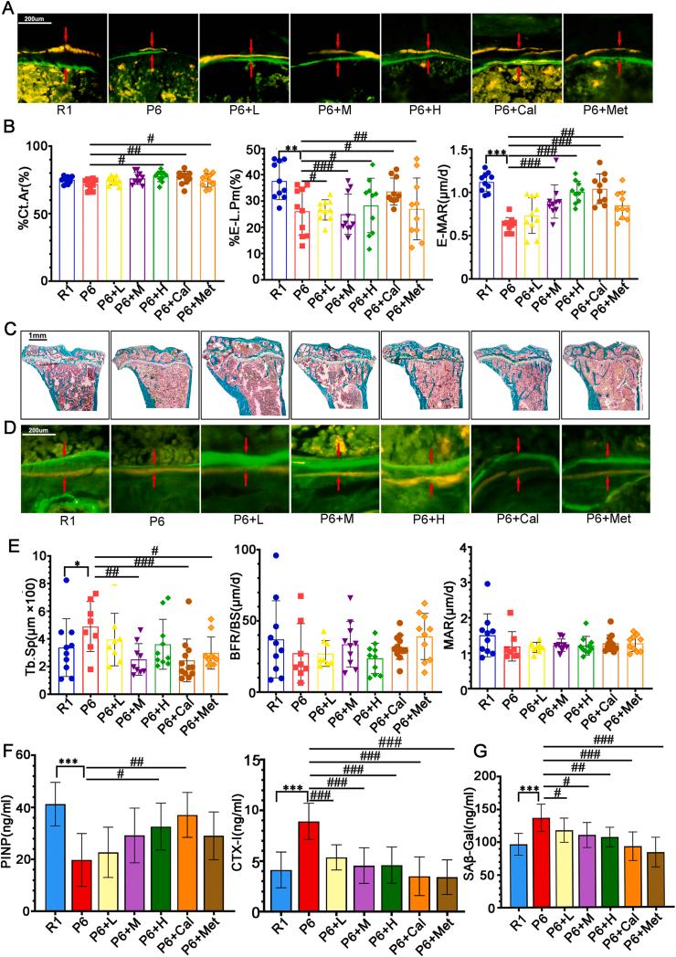 https://cdn.ncbi.nlm.nih.gov/pmc/blobs/6429/11576941/8dfff237f7b3/gr3.jpg