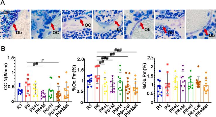https://cdn.ncbi.nlm.nih.gov/pmc/blobs/6429/11576941/8e78fafc6a2c/mmcfigs3.jpg