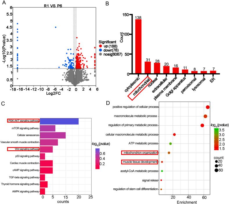 https://cdn.ncbi.nlm.nih.gov/pmc/blobs/6429/11576941/e7f4503d6726/gr5.jpg