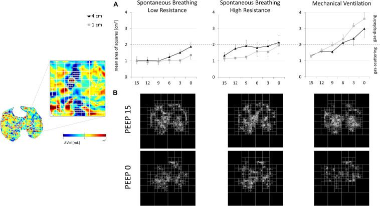 https://cdn.ncbi.nlm.nih.gov/pmc/blobs/6429/7900494/dbdd27f716ae/fphys-11-618640-g005.jpg