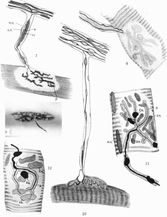 https://cdn.ncbi.nlm.nih.gov/pmc/blobs/642a/1248936/65e26f6dba14/janat00552-0043-a.jpg