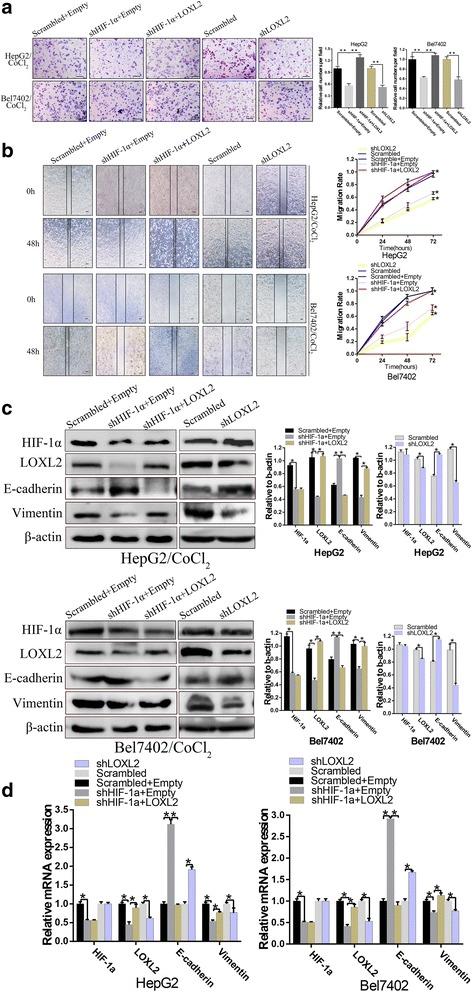 https://cdn.ncbi.nlm.nih.gov/pmc/blobs/642b/5408450/7761a54e90ad/13046_2017_533_Fig3_HTML.jpg