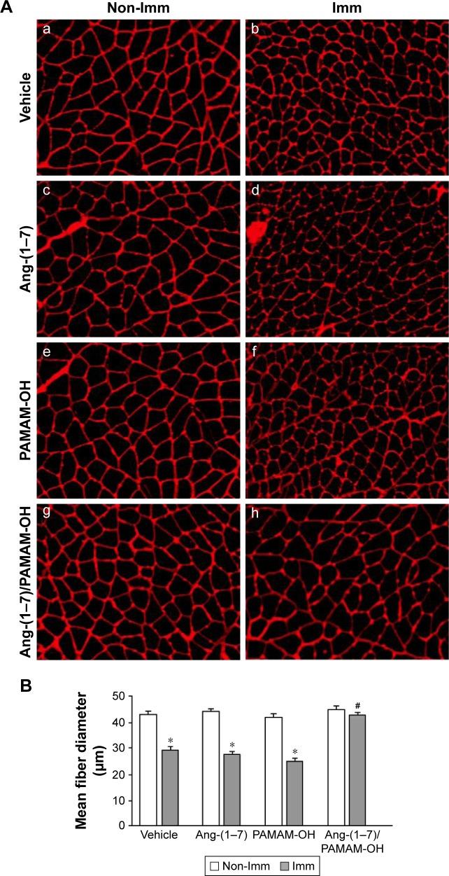 https://cdn.ncbi.nlm.nih.gov/pmc/blobs/642c/5357082/07b3e6e53df4/ijn-12-1985Fig7.jpg