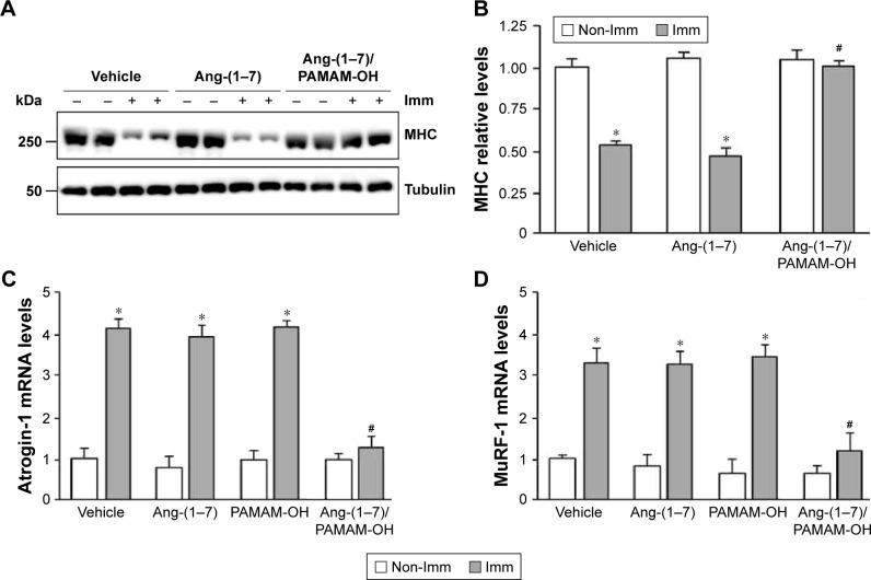 https://cdn.ncbi.nlm.nih.gov/pmc/blobs/642c/5357082/16080901b517/ijn-12-1985Fig8.jpg