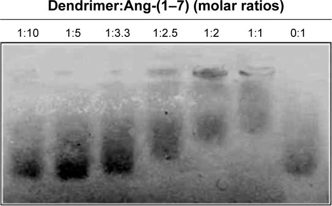 https://cdn.ncbi.nlm.nih.gov/pmc/blobs/642c/5357082/41d0175c6492/ijn-12-1985Fig5.jpg
