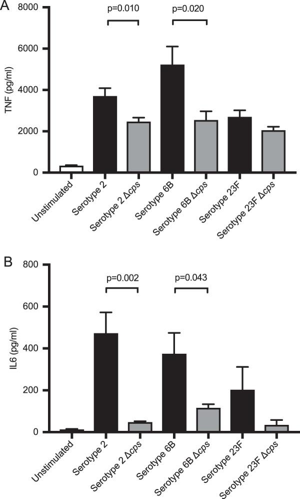 https://cdn.ncbi.nlm.nih.gov/pmc/blobs/642c/6759765/49ea4d832771/mBio.02144-19-f0008.jpg