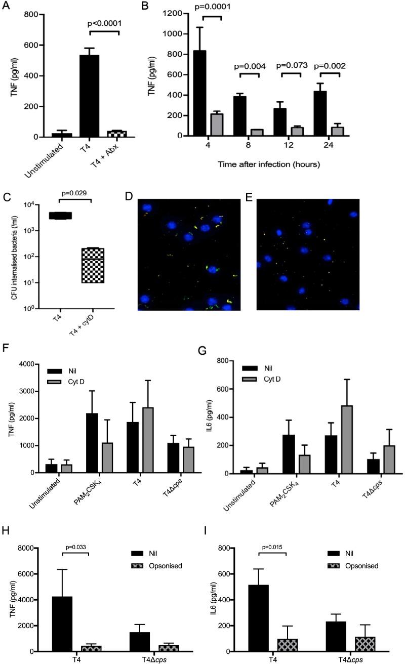 https://cdn.ncbi.nlm.nih.gov/pmc/blobs/642c/6759765/90be7dedd3e0/mBio.02144-19-f0006.jpg