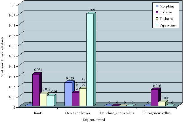 https://cdn.ncbi.nlm.nih.gov/pmc/blobs/642d/113780/6e1d820e4e80/023.fig.006.jpg