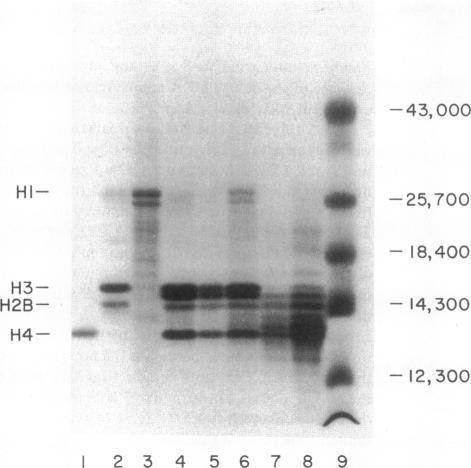 https://cdn.ncbi.nlm.nih.gov/pmc/blobs/642e/296596/b1cb1be9d335/jcinvest00071-0155-a.jpg