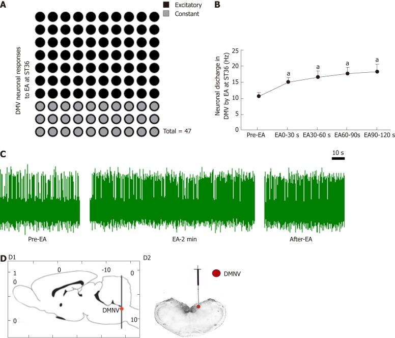 https://cdn.ncbi.nlm.nih.gov/pmc/blobs/642e/6529886/2d27f894cf9c/WJG-25-2315-g004.jpg
