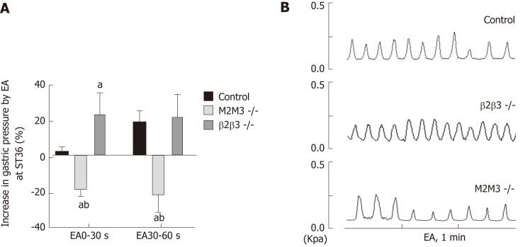 https://cdn.ncbi.nlm.nih.gov/pmc/blobs/642e/6529886/5c04a9181f08/WJG-25-2315-g003.jpg