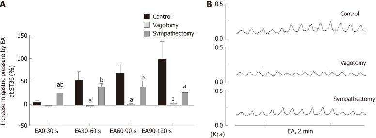 https://cdn.ncbi.nlm.nih.gov/pmc/blobs/642e/6529886/ea4df937e794/WJG-25-2315-g002.jpg